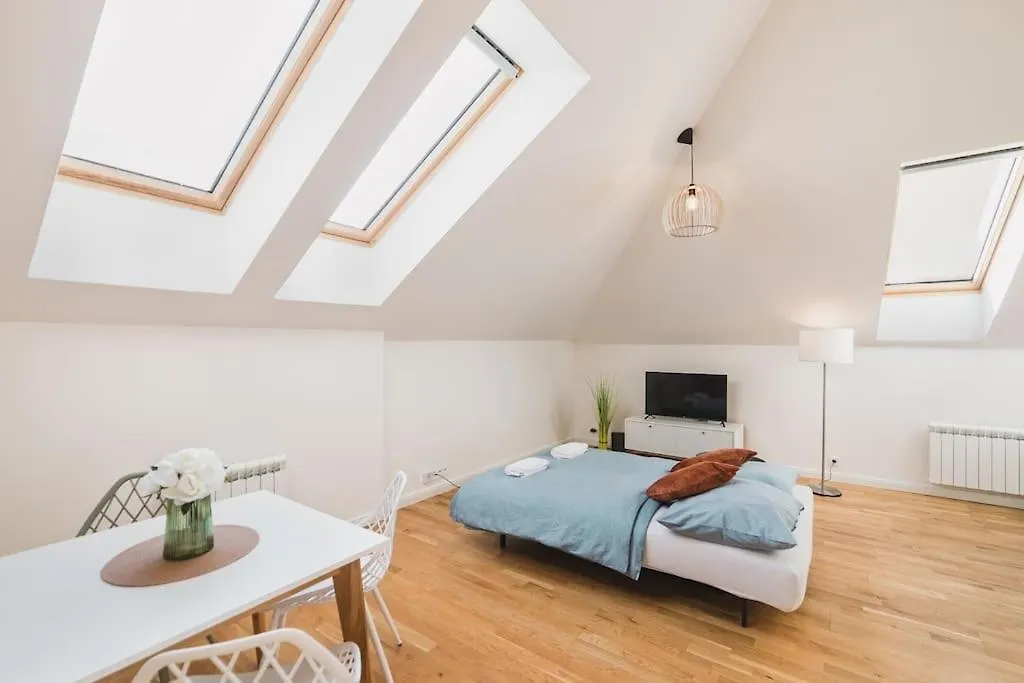 Grand Loft Apartment 110M2 Prague 0*,